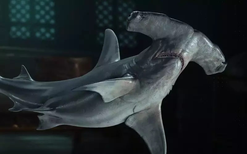 Acquiring Hammerhead Shark Bones in Assassin's Creed Black Flag Resynced
