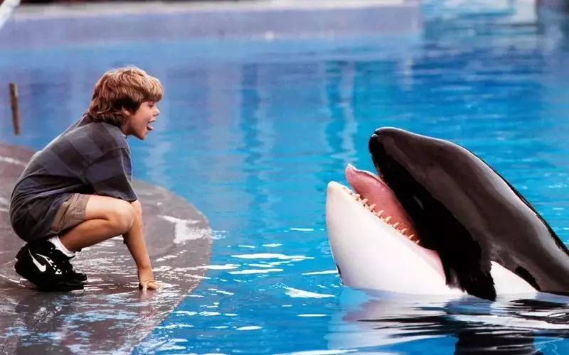 Warner Bros. Developing "Free Willy" Reboot with AGBO Producing