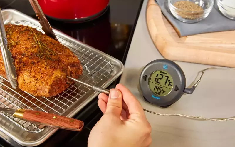 Mastering Culinary Precision: A Comprehensive Guide to Meat Thermometers