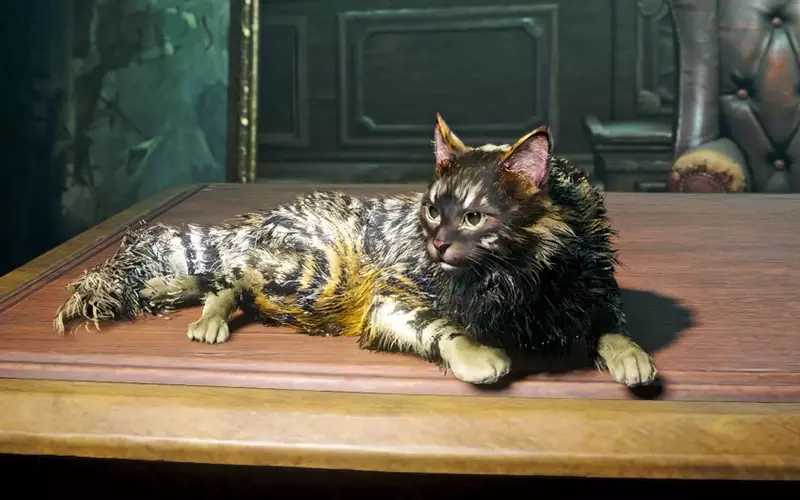 Acquiring Companions in Assassin's Creed Black Flag Resynced
