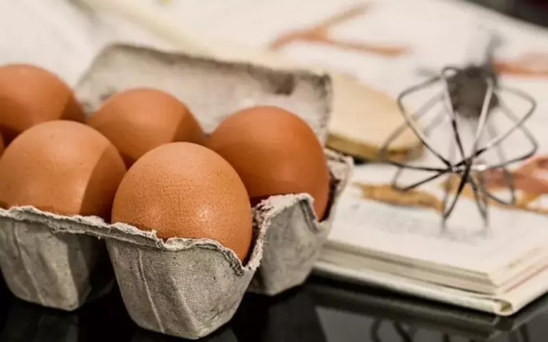 Cal-Maine Foods Reaches $1.5 Million Settlement in Egg Pricing Probe