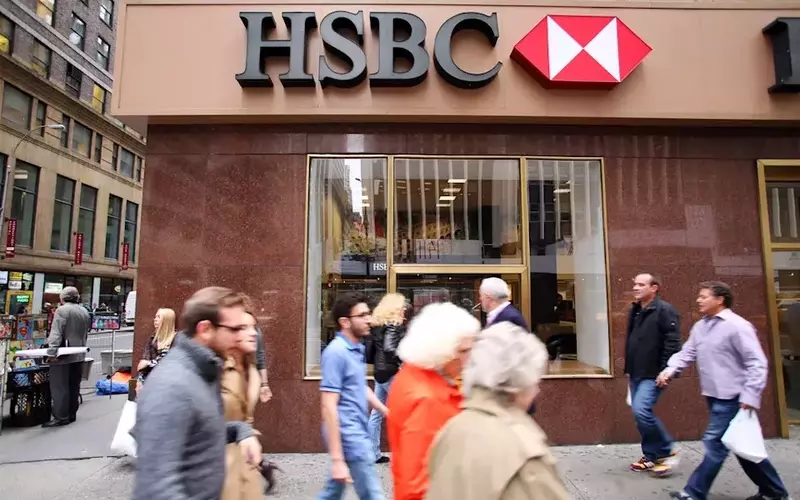 HSBC's Strategic Dividend Growth and Turkish Market Focus