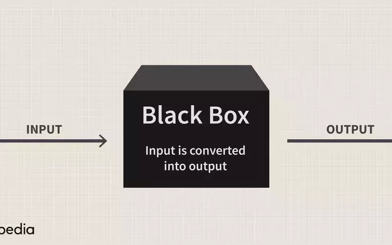 Understanding Black Box Models in Finance and Technology