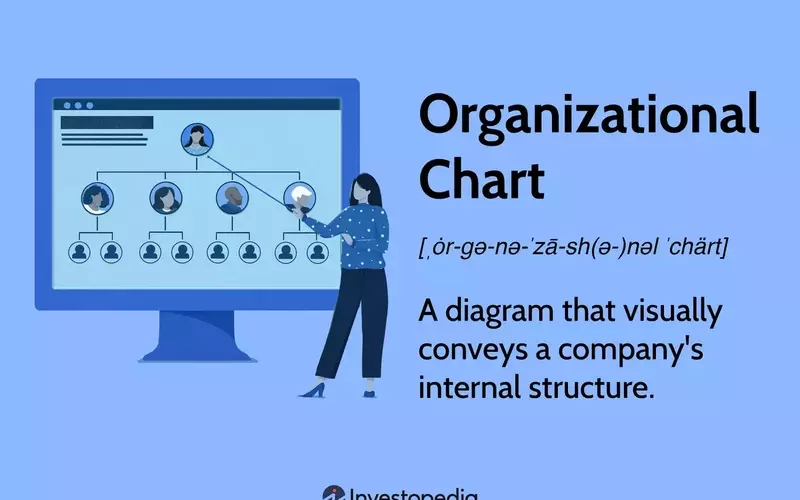 Understanding Organizational Charts: Structure, Types, and Importance