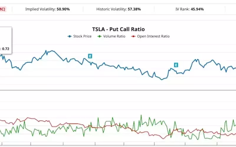 Expert Predicts Tesla Stock Decline, Options Market Reacts with Massive Bet