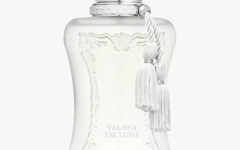 Top Long-Lasting Fragrances for All-Day Wear